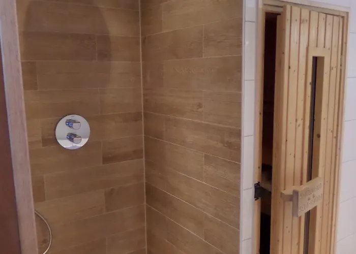 皇家桥酒店 4* 代夫特